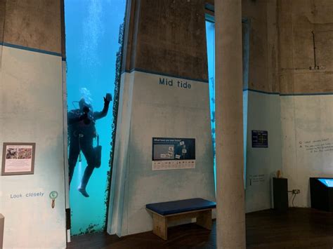 ¡Explora el misterio submarino del National Maritime Museum Cornwall! Historias de naufragios y tesoros ocultos.