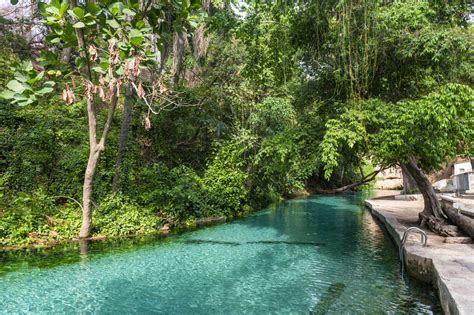 ¿Buscas un encuentro surrealista con la naturaleza en África Occidental? ¡El Parque Nacional de Yankari te espera!